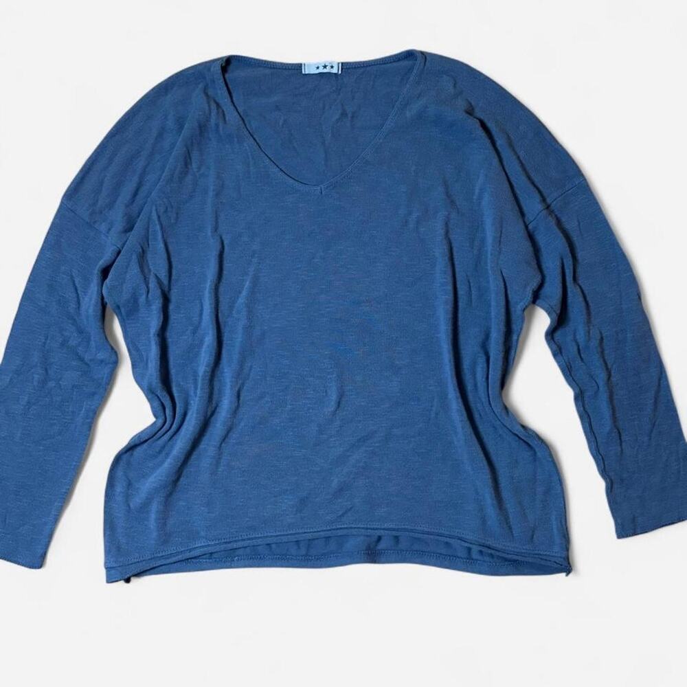 Blue V-Neck Long Sleeve with Dragonfly Detail